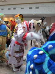 Devilwuff EF17 1683