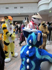 Devilwuff EF17 1685