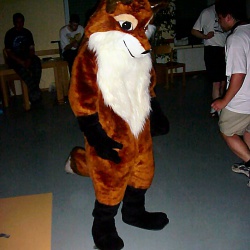 fursuits