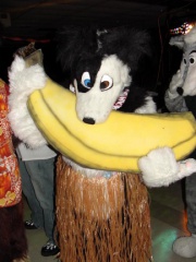 Draconis Furloween03 20