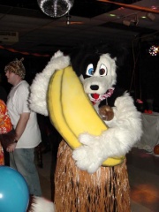 Draconis Furloween03 21