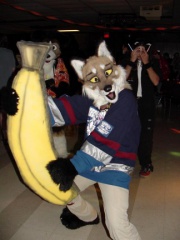 Draconis Furloween03 29