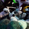 Tango_FursuitBlackLight_139.jpg