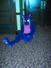 MacLeod FFi2010 1122