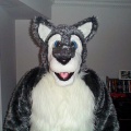suit4