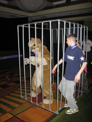 Antimon FC2009 055