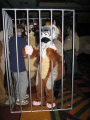 Antimon FC2009 089