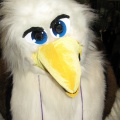 Antimon FC2009 011