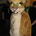 Antimon FC2009 017