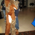 Antimon FC2009 018