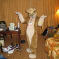 Antimon FC2009 042