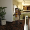 Antimon FC2009 094
