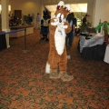 Antimon FC2009 101