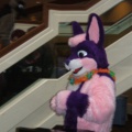 BrownWolf FC2009 039
