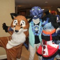 BrownWolf FC2009 051