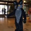 BrownWolf FC2009 056