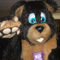 BrownWolf FC2009 057