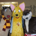 BrownWolf FC2009 058