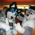 BrownWolf FC2009 062