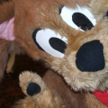 BrownWolf FC2009 068