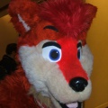 BrownWolf FC2009 072