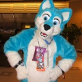 BrownWolf FC2009 073