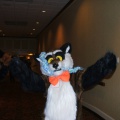 BrownWolf FC2009 074