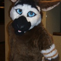 BrownWolf FC2009 076
