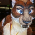 BrownWolf FC2009 078