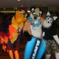 BrownWolf FC2009 079