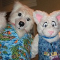BrownWolf FC2009 080