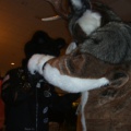 BrownWolf FC2009 082
