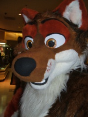 BrownWolf FC2009 083