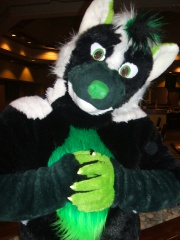 BrownWolf FC2009 086