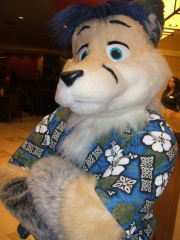 BrownWolf FC2009 090