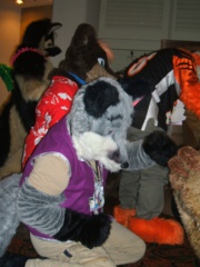 BrownWolf FC2009 092