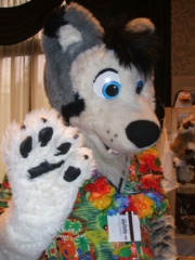 BrownWolf FC2009 106