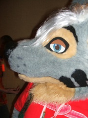 BrownWolf FC2009 133
