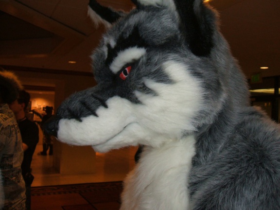 BrownWolf FC2009 134