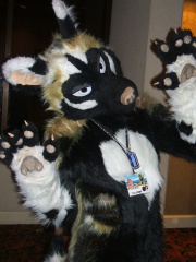 BrownWolf FC2009 154