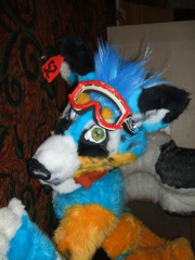 BrownWolf FC2009 159