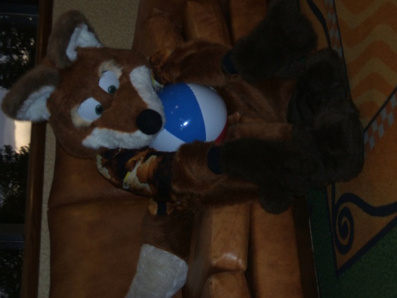 BrownWolf FC2009 208