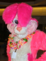 BrownWolf FC2009 211