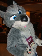 BrownWolf FC2009 213