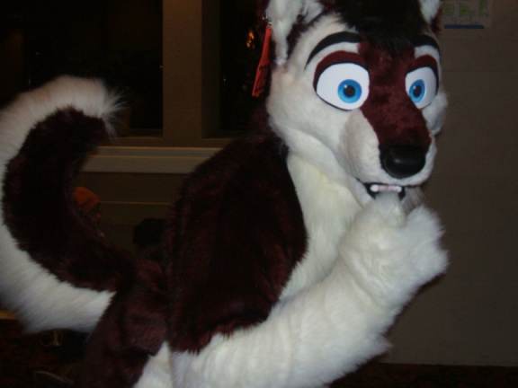 BrownWolf FC2009 221
