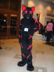 BrownWolf FC2009 225