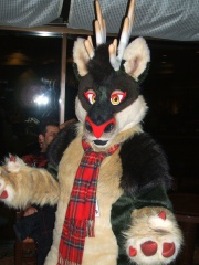 BrownWolf FC2009 226