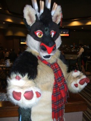 BrownWolf FC2009 229