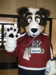 BrownWolf FC2009 237