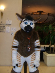 BrownWolf FC2009 238